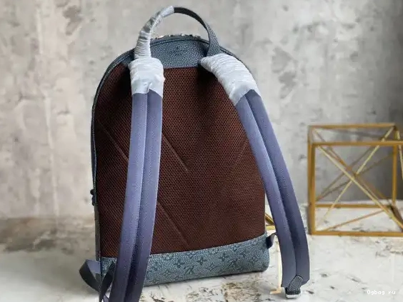 VUITTON BACKPACK LOUIS ELLIPSE 0616